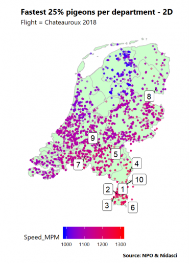 Duivenrace - pigeon race statistiek